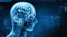 Are You A Believer Or An Atheist? It's All In Your Brain