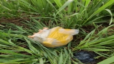 BSF shoots down Pakistani drone in Punjab