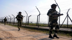 BSF shoots Pak intruder in Punjab's Firozepur Sector