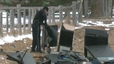 Girl, 5, Killed In Collision Between Horse-Drawn Carriage And Minivan In Ontario