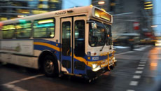 Bus Driver Attack in Surrey Triggers Union Concerns