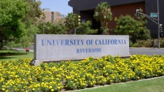 Sikh, Jain And Modern India Studies Chairs In University Of California Sikh, Jain And Modern India Studies Chairs In University Of California