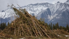 What's in store for Canada's 2026 wildfire season?