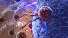 Indian-Origin Scientist Turns Cancer Cells Into Harmless Cells