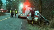 Car Crashes Into Hydro Pole In Surrey, Knocking Out Power To Homes