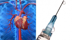 World's first vaccine for heart disease soon a reality?