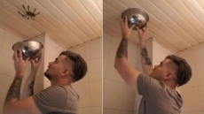 Video: Man's Attempt To Catch Giant Spider In Bowl Lands Him In Trouble