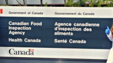 CFIA Announces Cantaloupe Recall Due To Possible Salmonella Contamination