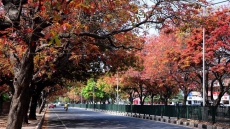 Chandigarh's 'Geri Route': Been there, done that!