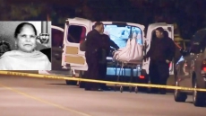 Man Gets 6 Years For Unprovoked Slaying Of New Westminster Senior Charan Dhandwar