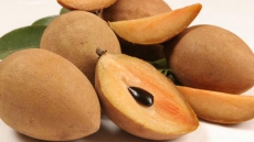 Eat chikoo to fight cancer