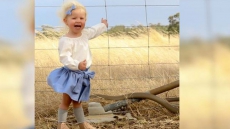 Mother Got Shock Of Her Life When A Deadly Snake Photobombed Her 2-Year-Old Toddler's Picture