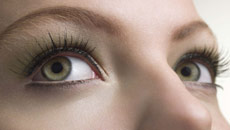 Revealed: How Chinese have faster eye movement