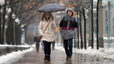 Temperature records shattered in Maritimes on balmy Christmas Day