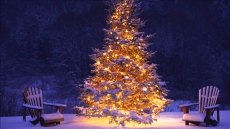 Festive Spirit Marks Christmas In Punjab, Haryana, Chandigarh