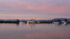 Maclean’s ranks Delta as the best city in Metro Vancouver