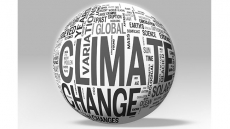 Bogs into bush: Research suggests climate change threatens Alberta wetlands