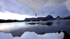 UN Environment Report Has Strong Message For Canada: Co-Author