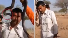 WATCH: Selfie With Cobra Goes Awry, Indian Man Dies As Reptile Bites Him