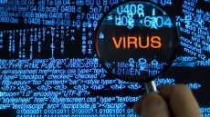 Computer Virus Infects B.C. Government Email Servers