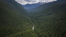 Interfor gives up tenure to conserve B.C. valley