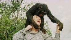 'No one of her stature': Conservationist Jane Goodall remembered in Canada