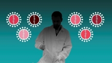 Has the coronavirus mutated in any significant way?