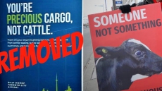 Toronto Airport Removes Ad After Activists Complain It's 'INSULTING' To Cows