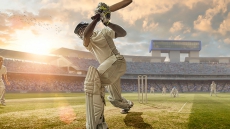 Putting the Spotlight on Cricket
