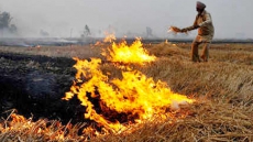 No Subsidy, Punjab Didn't Use Rs 97 Crore For Crop Residue Management