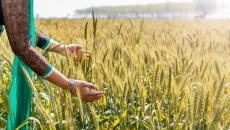 Punjab tops with 49,922 crop residue burning incidents between Sep 15-Nov 30