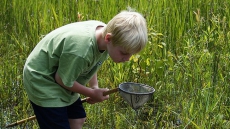 How curiosity drives learning