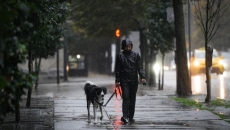 Power knocked out to thousands of customers as strong winds swept through B.C.