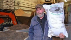 'Bit Of A Shocker': How A Seaweed Diet Dramatically Cuts Cows' Methane Output