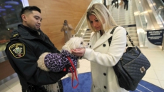 Vancouver Woman Reunited In Winnipeg With Dog Missing For Three Years