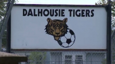 Dalhousie University rugby club violated hazing policy, sanctions imposed