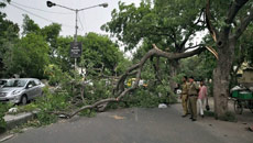 Squall plays havoc in Delhi, transport disrupted, nine killed