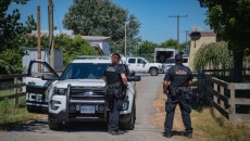 Delta Police seize 7400 marijuana plants in a large scale marijuana grow-op