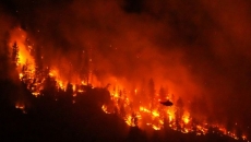 'Devastation': Chief says about 230 homes destroyed by B.C. wildfire