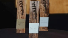 Dhahan Prize Announces 2015 Winners For Best Punjabi Fiction