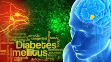 Brain 'switch' controlling blood sugar levels discovered