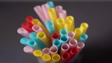 Prominent Democrats defend Canada's plastics ban