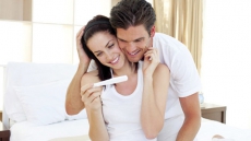 For DINK couples, outsourcing parenthood is cool