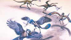 Revealed: How dinosaurs shrunk into birds