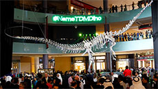 Dinosaur skeleton displayed in Dubai mall