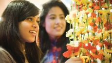 Diwali Decor on a Budget