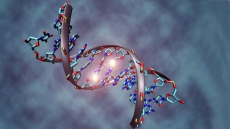 DNA may shape political affiliations