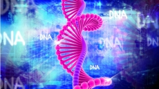 True happiness lies in your DNA