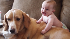 Science bears witness to dog's love for master