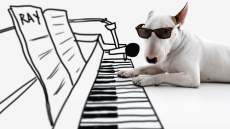 Instagrams Of 'Dog Named Jimmy' Turned Owner's Life Around